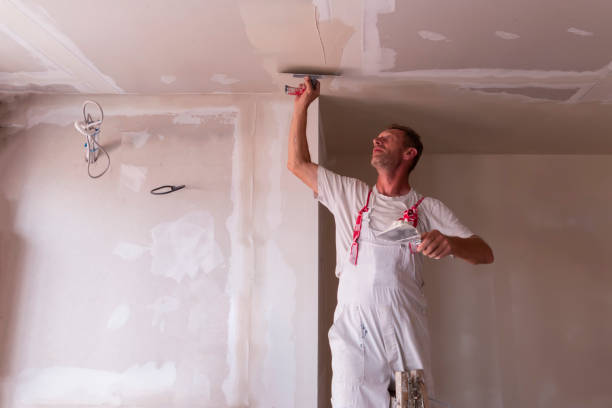 Best Wallpaper Removal and Painting  in Woxall, PA